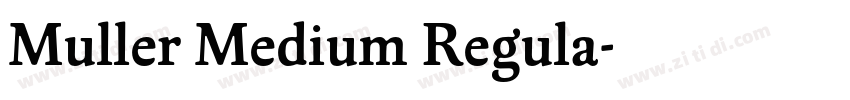 Muller Medium Regula字体转换